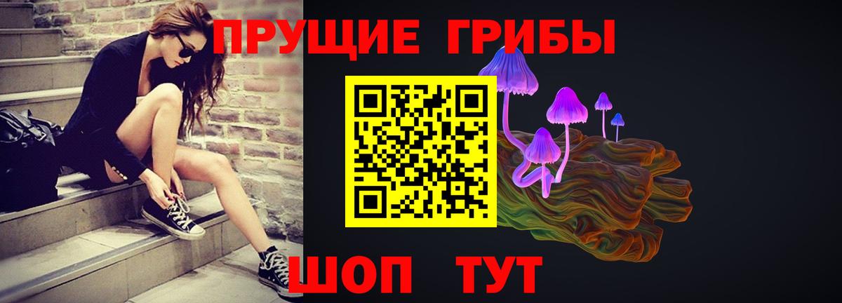 Галлюциногенные грибы Psilocybe Нягань